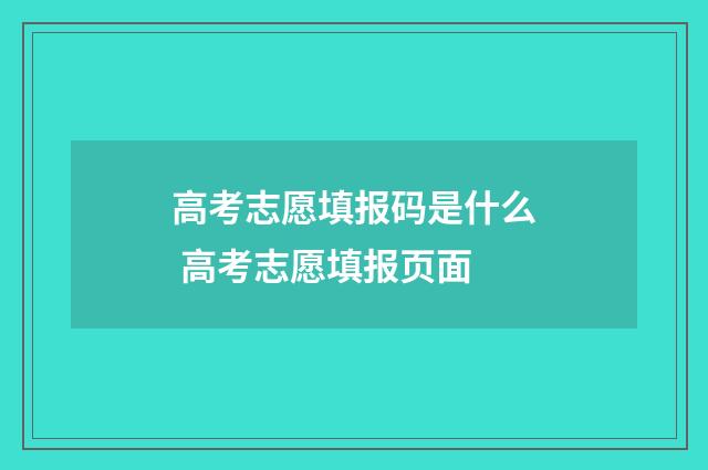 高考志愿填报码是什么 高考志愿填报页面