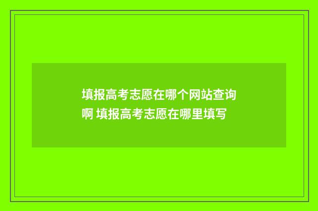 填报高考志愿在哪个网站查询啊 填报高考志愿在哪里填写