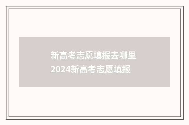 新高考志愿填报去哪里 2024新高考志愿填报