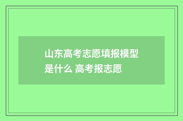 山东高考志愿填报模型是什么 高考报志愿