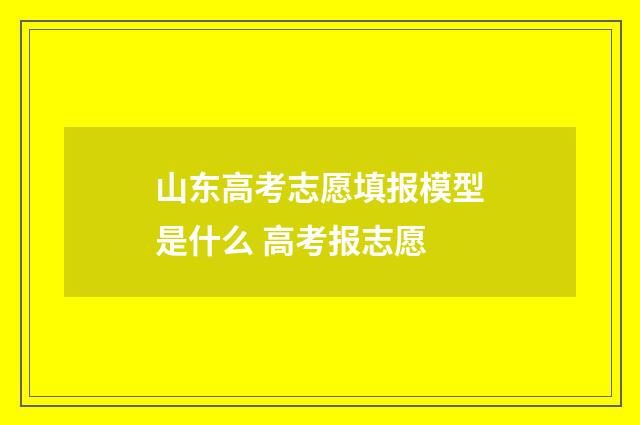 山东高考志愿填报模型是什么 高考报志愿