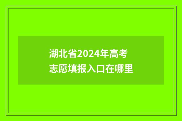 湖北省2024年高考志愿填报入口在哪里