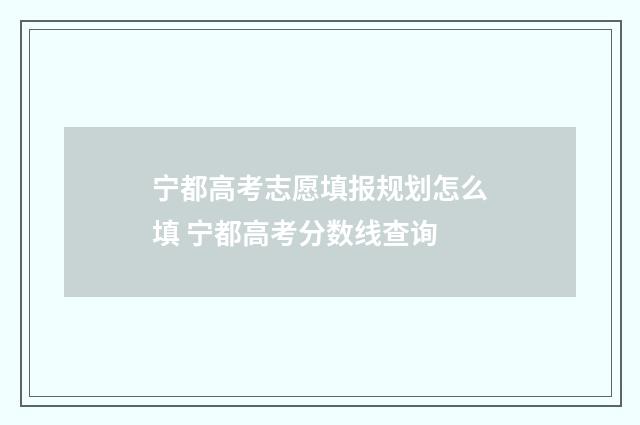 宁都高考志愿填报规划怎么填 宁都高考分数线查询