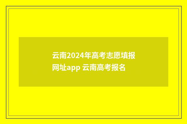 云南2024年高考志愿填报网址app 云南高考报名