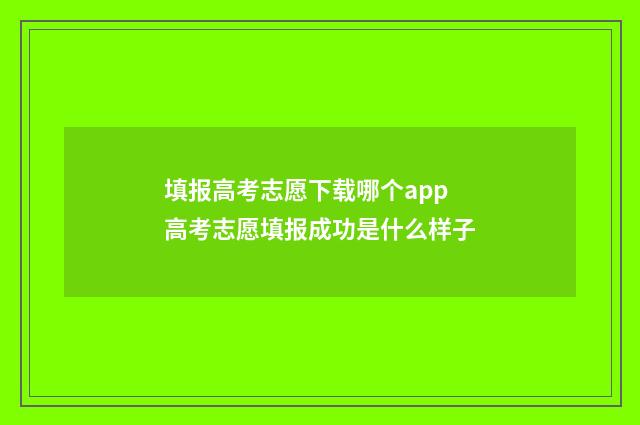 填报高考志愿下载哪个app 高考志愿填报成功是什么样子