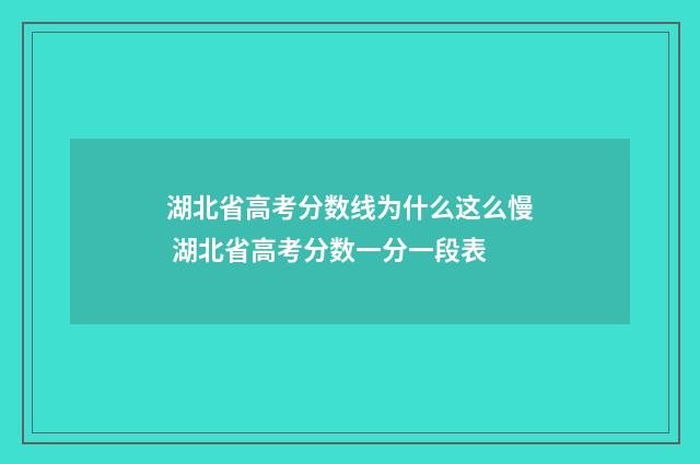 湖北省高考分数线为什么这么慢 湖北省高考分数一分一段表