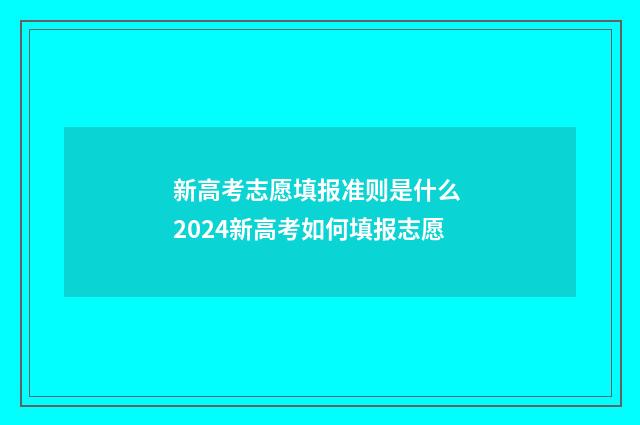 新高考志愿填报准则是什么 2024新高考如何填报志愿