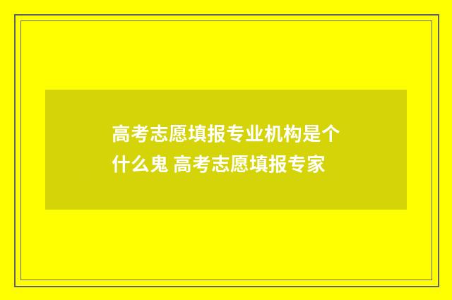 高考志愿填报专业机构是个什么鬼 高考志愿填报专家