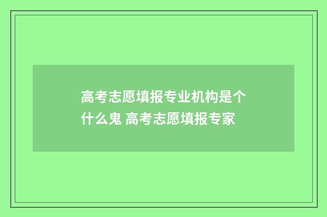 高考志愿填报专业机构是个什么鬼 高考志愿填报专家