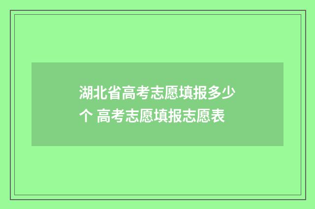 湖北省高考志愿填报多少个 高考志愿填报志愿表