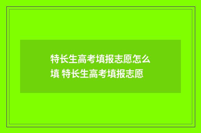 特长生高考填报志愿怎么填 特长生高考填报志愿
