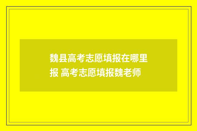 魏县高考志愿填报在哪里报 高考志愿填报魏老师
