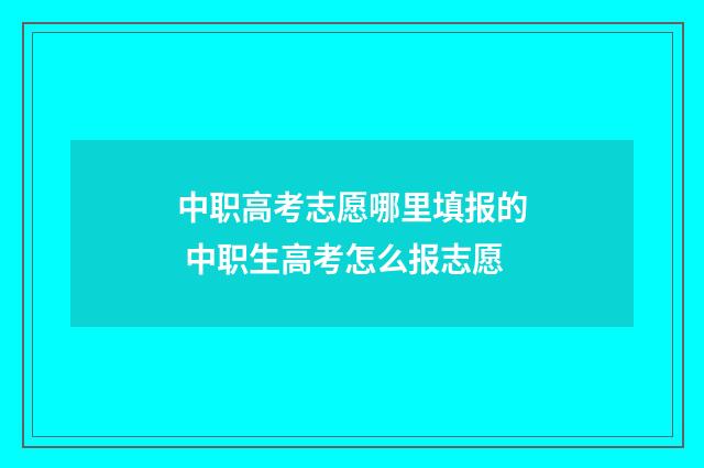 中职高考志愿哪里填报的 中职生高考怎么报志愿