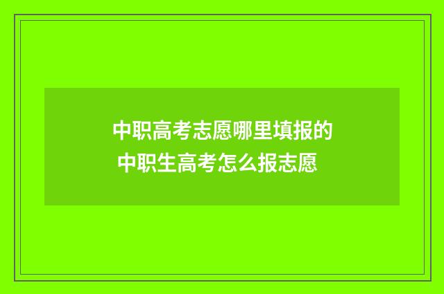 中职高考志愿哪里填报的 中职生高考怎么报志愿