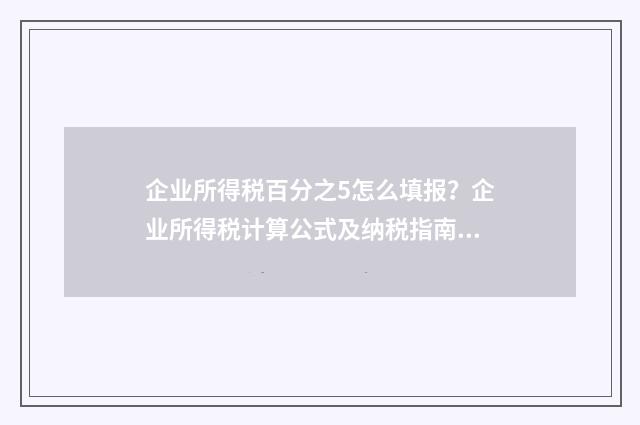 企业所得税百分之5怎么填报？企业所得税计算公式及纳税指南 企业所得税百分25怎么算