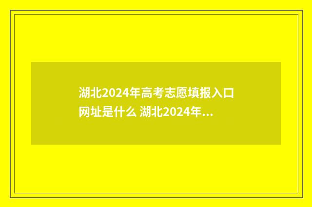 湖北2024年高考志愿填报入口网址是什么 湖北2024年高考人数