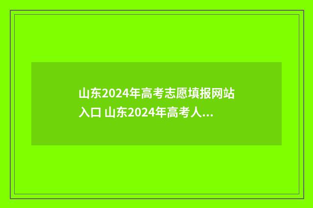 山东2024年高考志愿填报网站入口 山东2024年高考人数