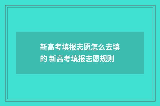 新高考填报志愿怎么去填的 新高考填报志愿规则