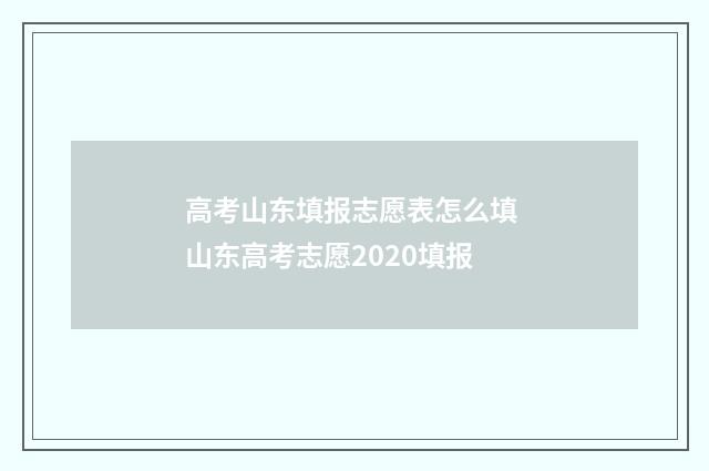 高考山东填报志愿表怎么填 山东高考志愿2020填报