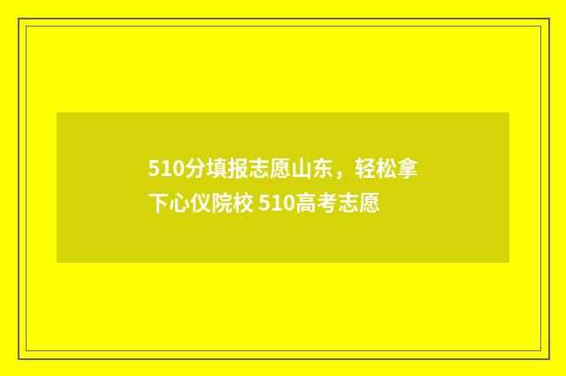 510分填报志愿山东，轻松拿下心仪院校 510高考志愿