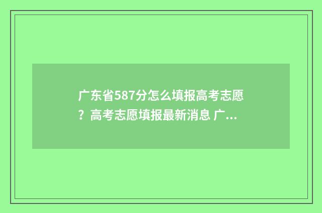 广东省587分怎么填报高考志愿？高考志愿填报最新消息 广东587分能上211吗