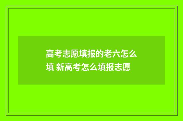 高考志愿填报的老六怎么填 新高考怎么填报志愿