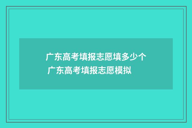 广东高考填报志愿填多少个 广东高考填报志愿模拟