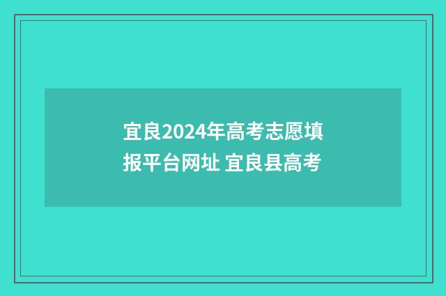 宜良2024年高考志愿填报平台网址 宜良县高考
