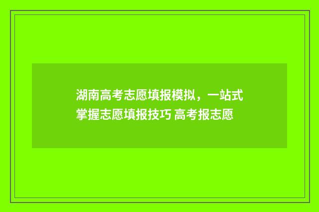 湖南高考志愿填报模拟，一站式掌握志愿填报技巧 高考报志愿