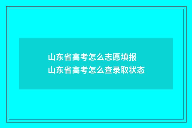 山东省高考怎么志愿填报 山东省高考怎么查录取状态