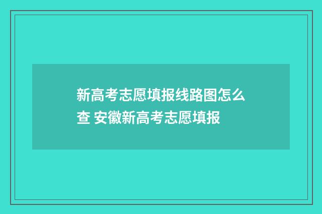 新高考志愿填报线路图怎么查 安徽新高考志愿填报