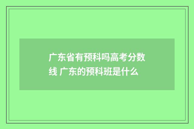 广东省有预科吗高考分数线 广东的预科班是什么