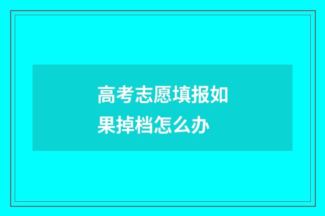 高考志愿填报如果掉档怎么办