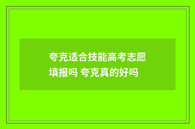 夸克适合技能高考志愿填报吗 夸克真的好吗