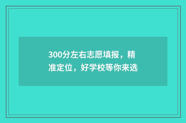 300分左右志愿填报，精准定位，好学校等你来选