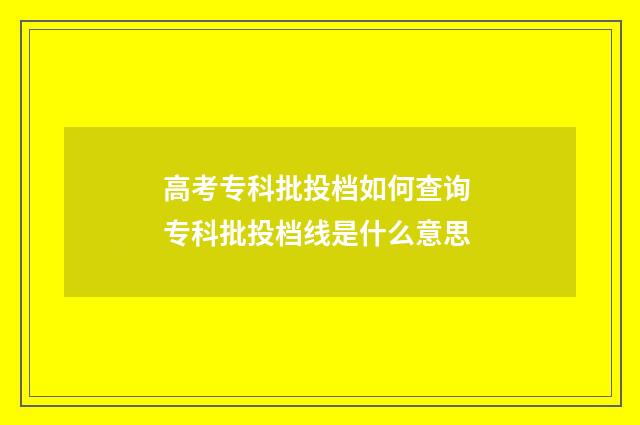 高考专科批投档如何查询 专科批投档线是什么意思