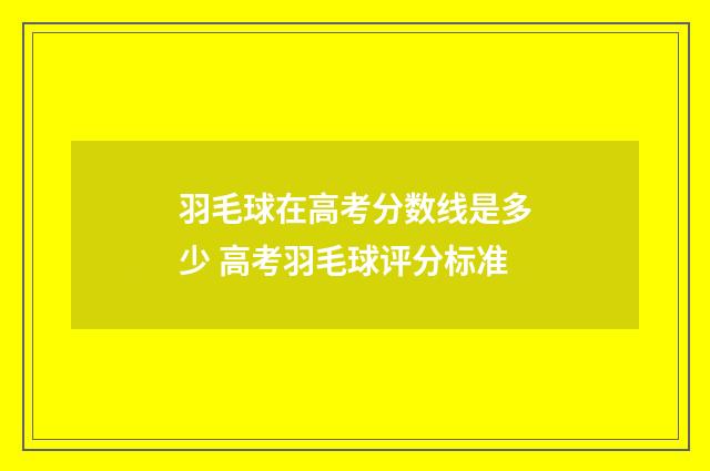 羽毛球在高考分数线是多少 高考羽毛球评分标准
