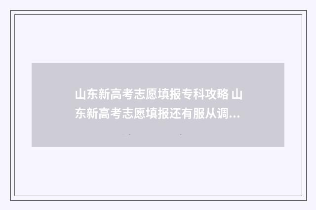 山东新高考志愿填报专科攻略 山东新高考志愿填报还有服从调剂吗