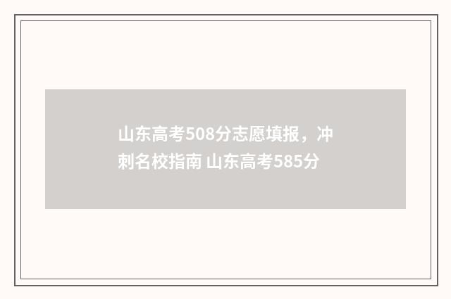 山东高考508分志愿填报，冲刺名校指南 山东高考585分