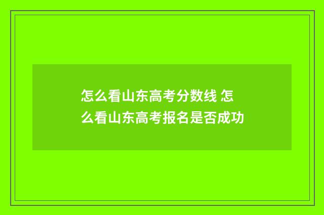 怎么看山东高考分数线 怎么看山东高考报名是否成功