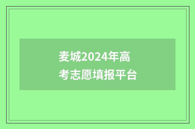 麦城2024年高考志愿填报平台