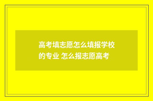 高考填志愿怎么填报学校的专业 怎么报志愿高考