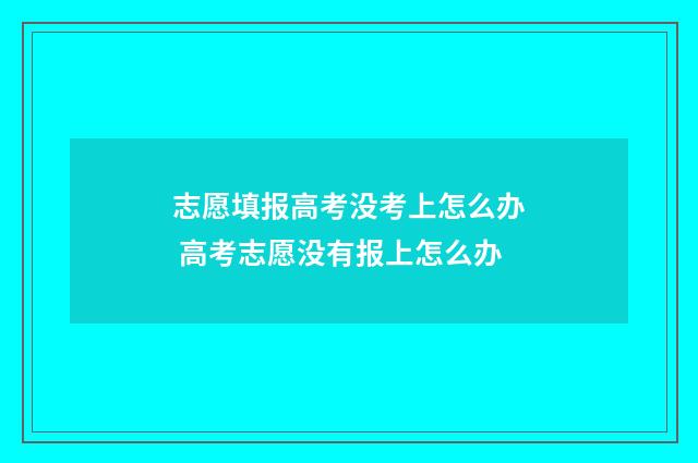 志愿填报高考没考上怎么办 高考志愿没有报上怎么办