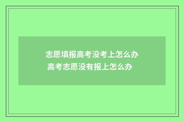 志愿填报高考没考上怎么办 高考志愿没有报上怎么办