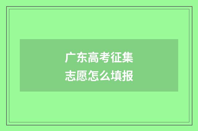 广东高考征集志愿怎么填报