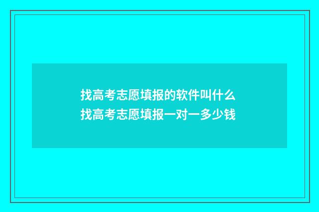找高考志愿填报的软件叫什么 找高考志愿填报一对一多少钱
