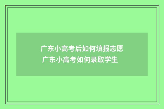 广东小高考后如何填报志愿 广东小高考如何录取学生