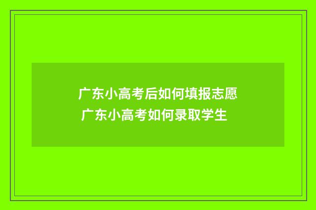 广东小高考后如何填报志愿 广东小高考如何录取学生