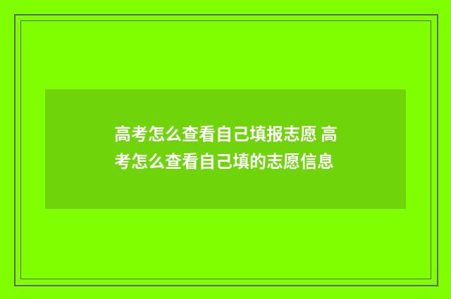 高考怎么查看自己填报志愿 高考怎么查看自己填的志愿信息