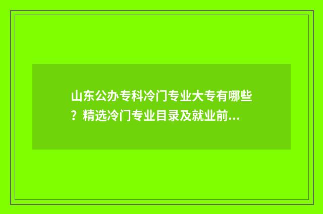 山东公办专科冷门专业大专有哪些？精选冷门专业目录及就业前景分析 山东好的专科公办学校